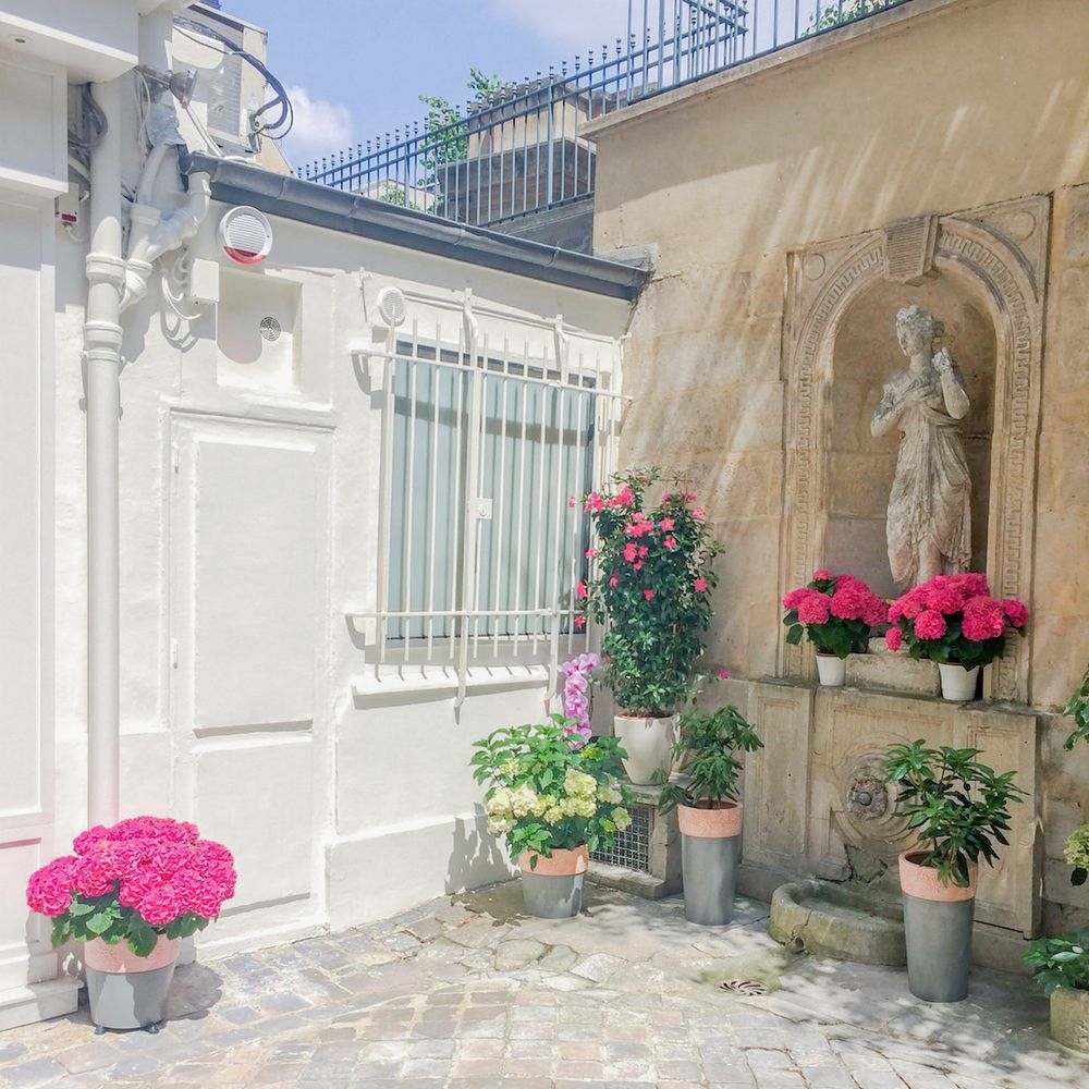 Flower Shop Paris