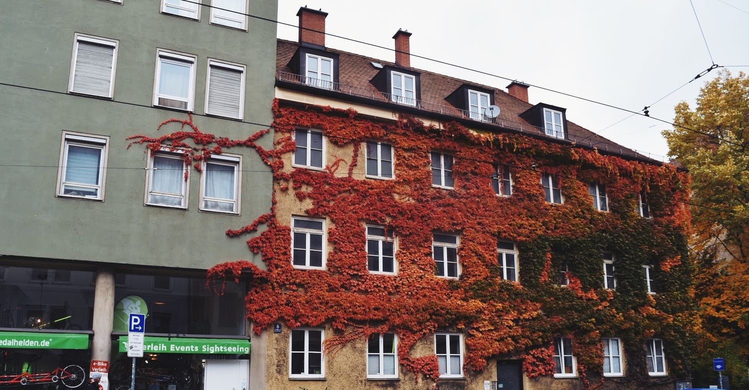 Ivy-covered Buildings in Munich