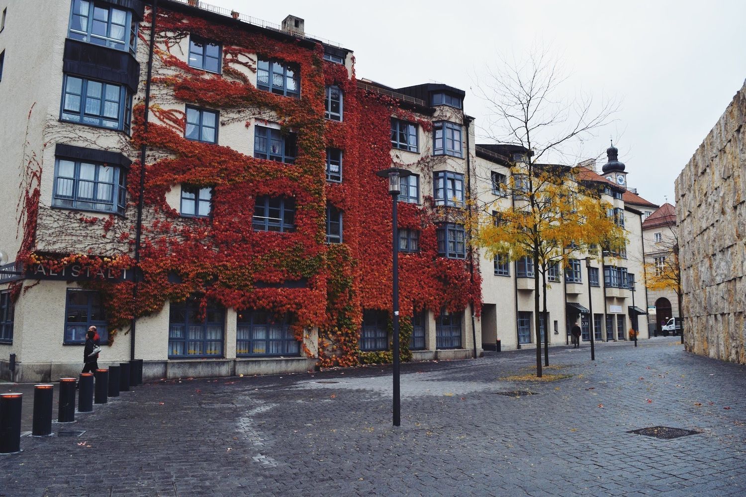 Ivy-covered Buildings in Munich