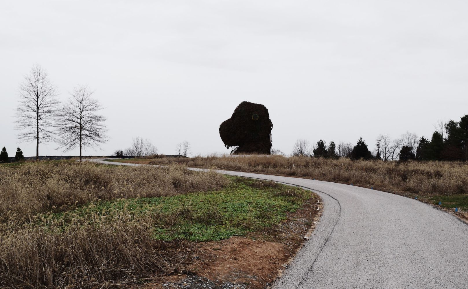 Jeff Koons, Split-Rocker, 2000 at Glenstone