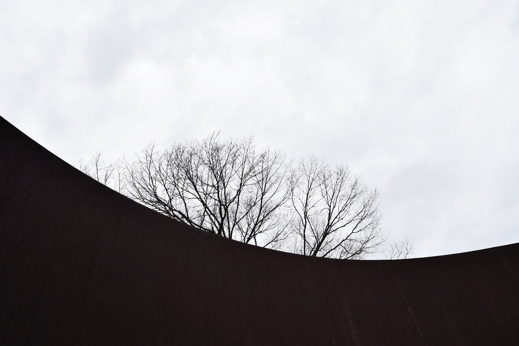 Richard Serra Sylvester