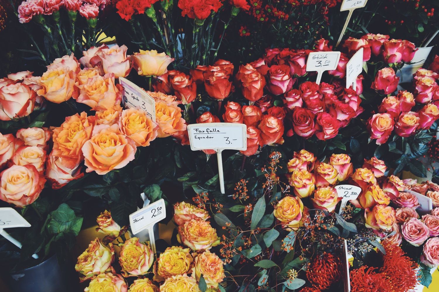 Viktualienmarkt Flowers