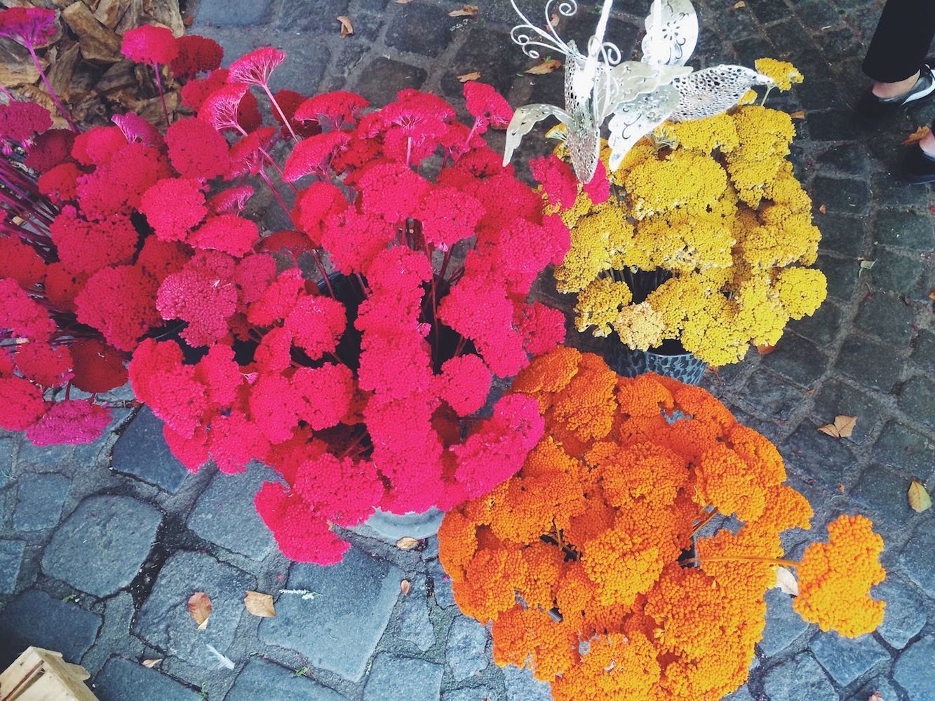 Viktualienmarkt Blumen