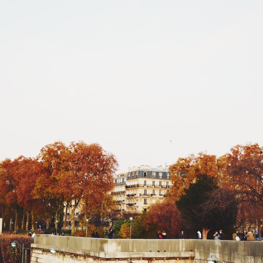 La Seine during Fall