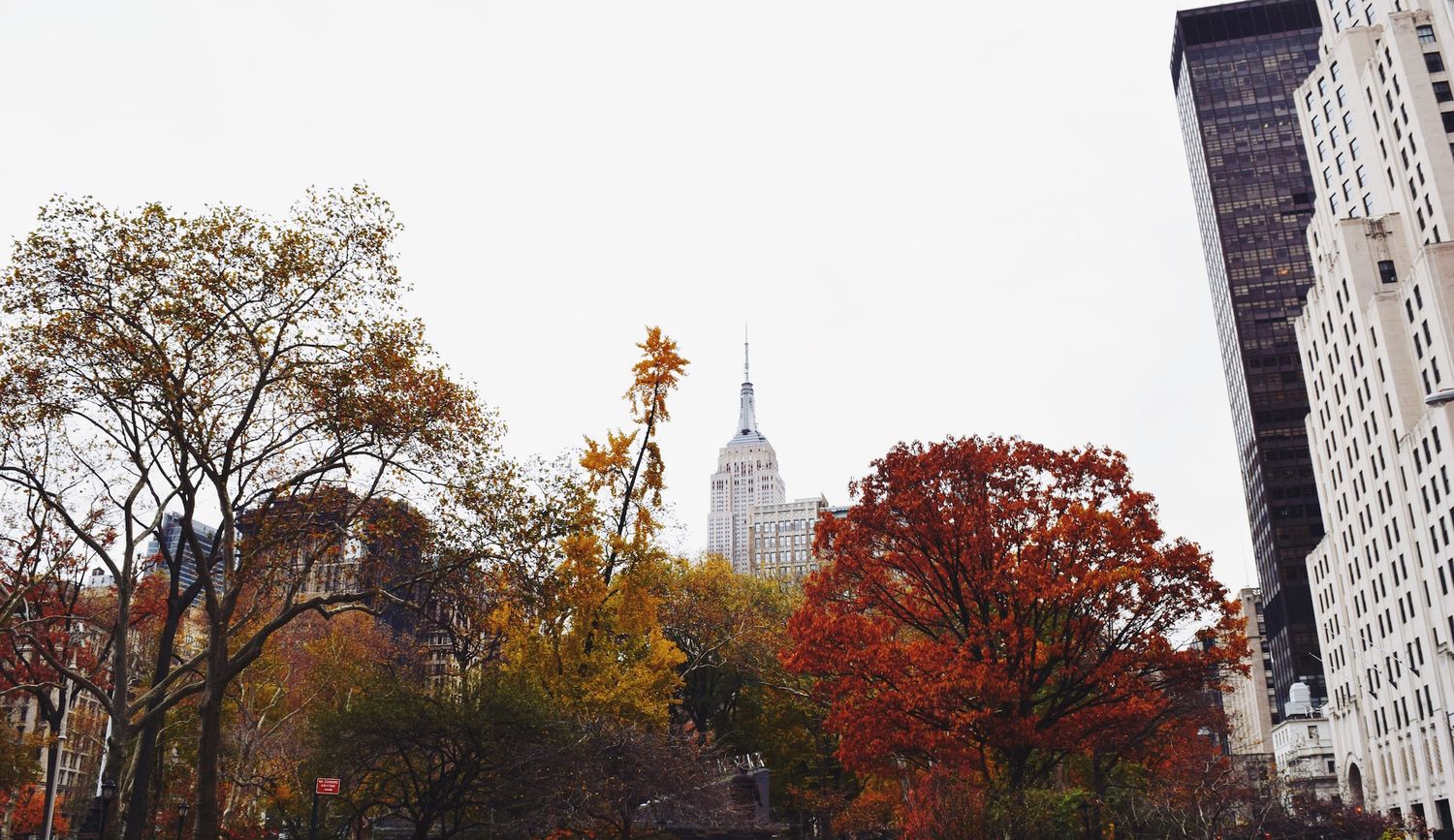 Madison Square Park