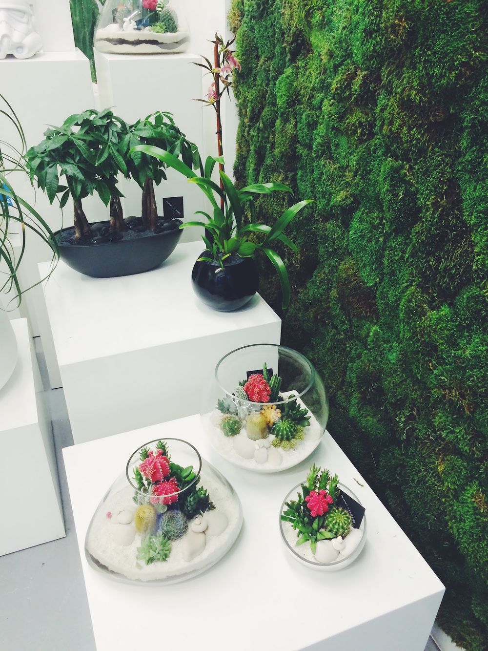 miami shopping – Plant The Future