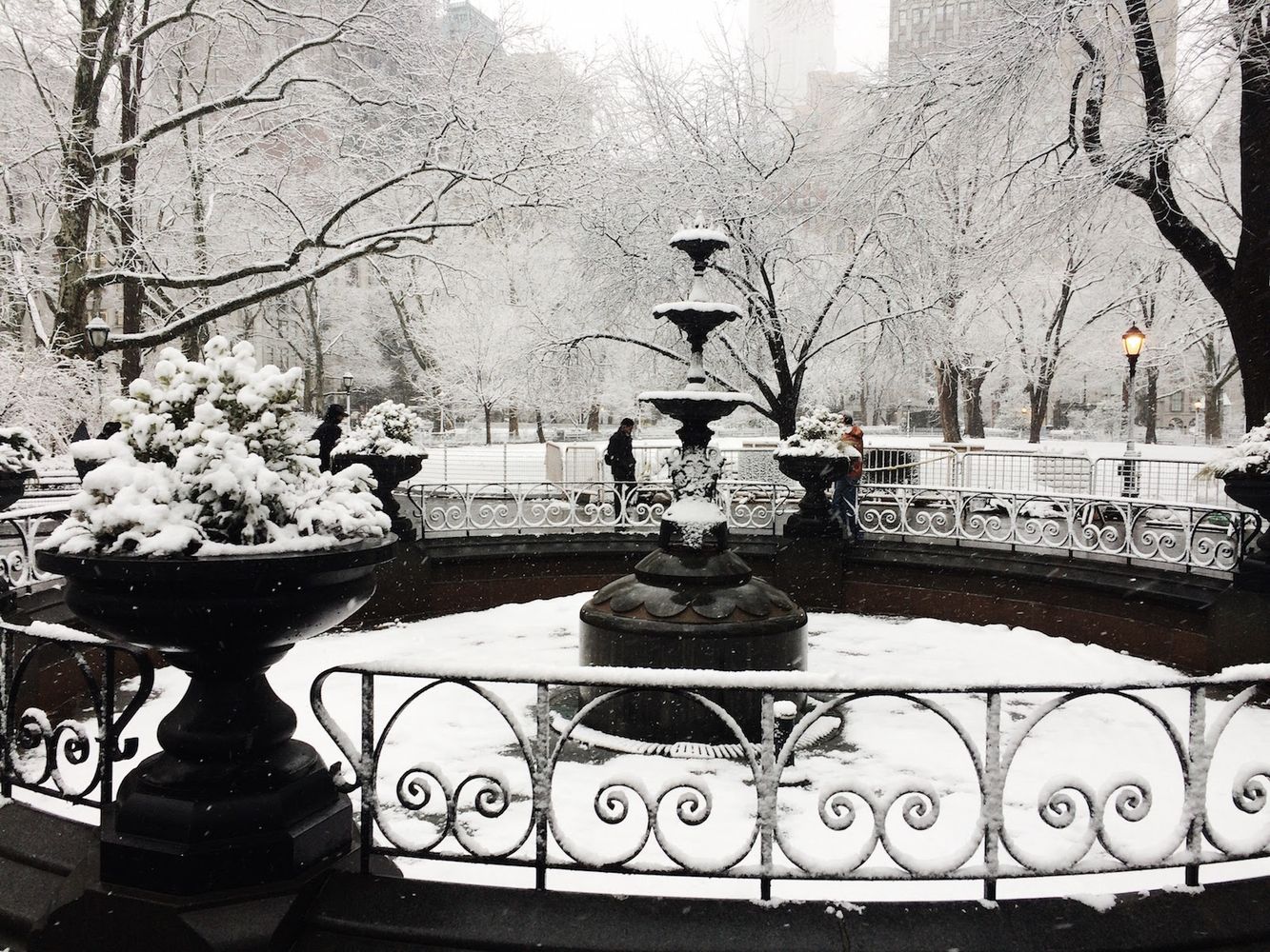 Snow in Madison Square Park