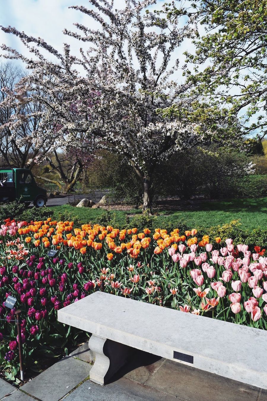 Brooklyn Botanic Garden Bench