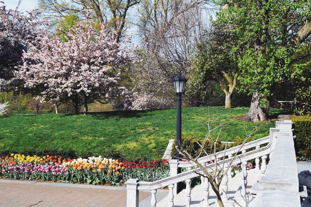 Brooklyn Botanic Lily Pool Terrace