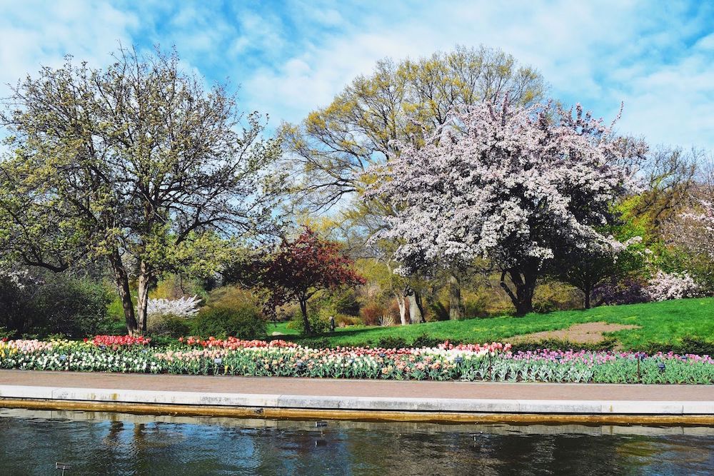 Brooklyn Botanic Lily Pool Terrace