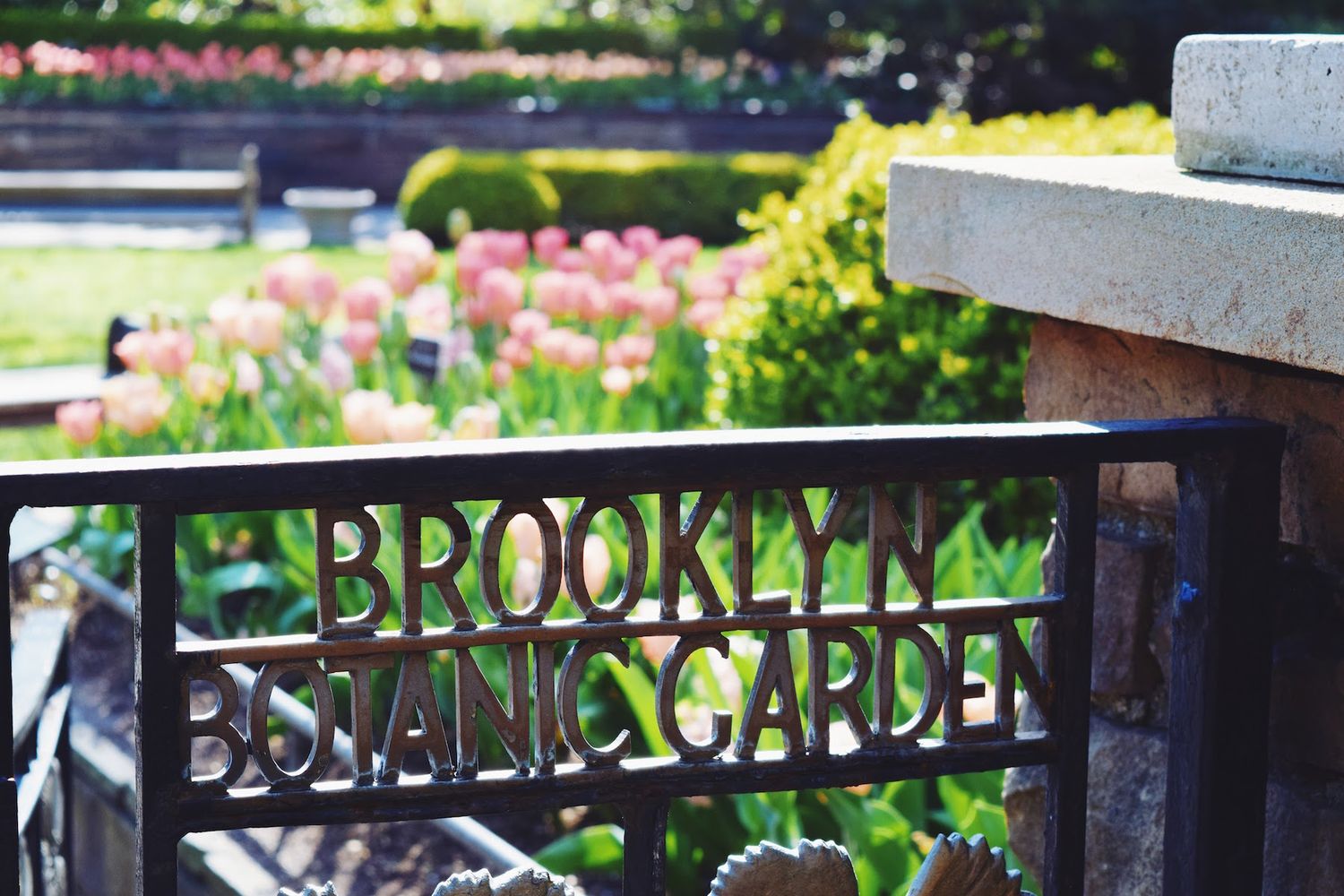 Brooklyn Botanic Garden