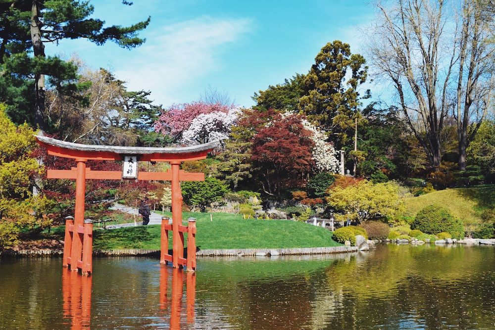 Brooklyn Botanic Japanese Hill and Garden Pond