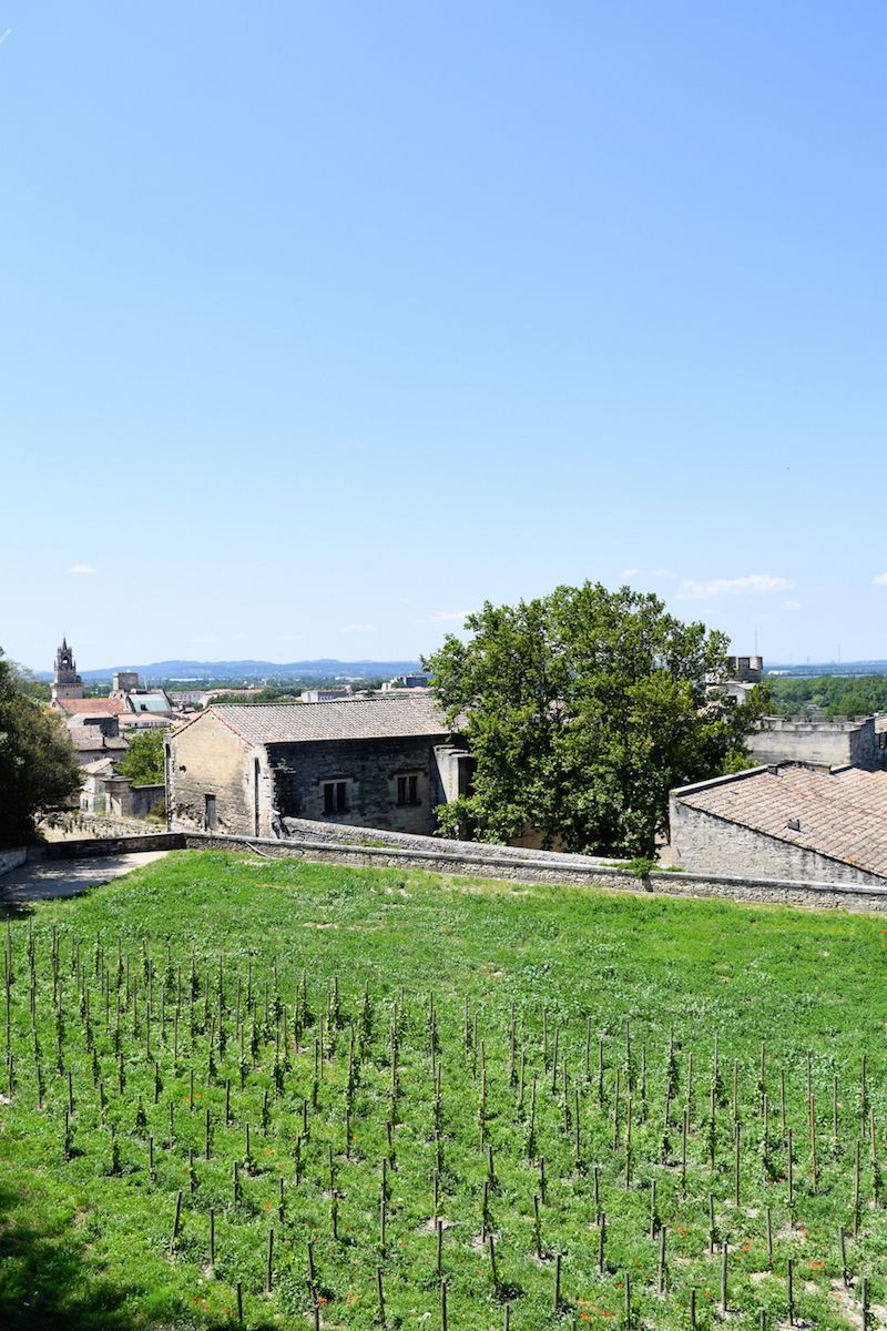 Rocher des Doms, Avignon, France