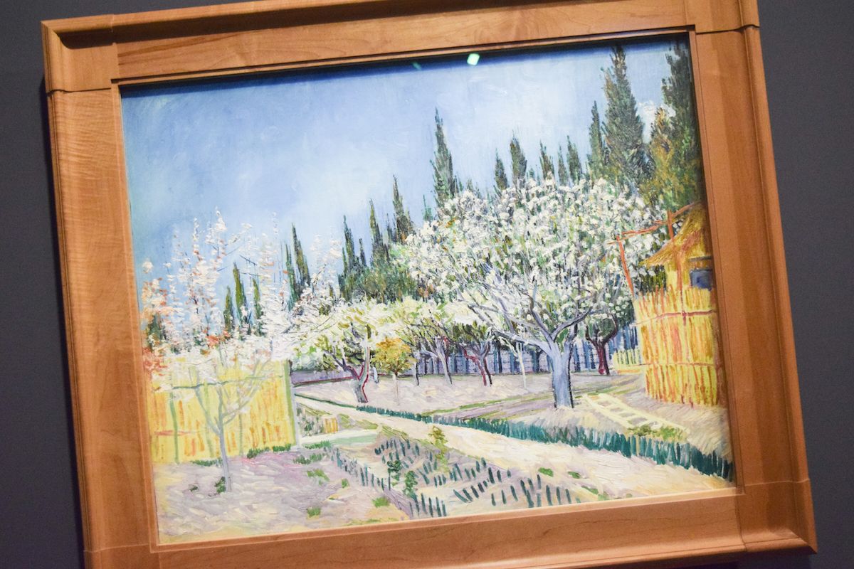 Fondation Vincent Van Gogh Arles - Orchard Bordered by Cypresses
