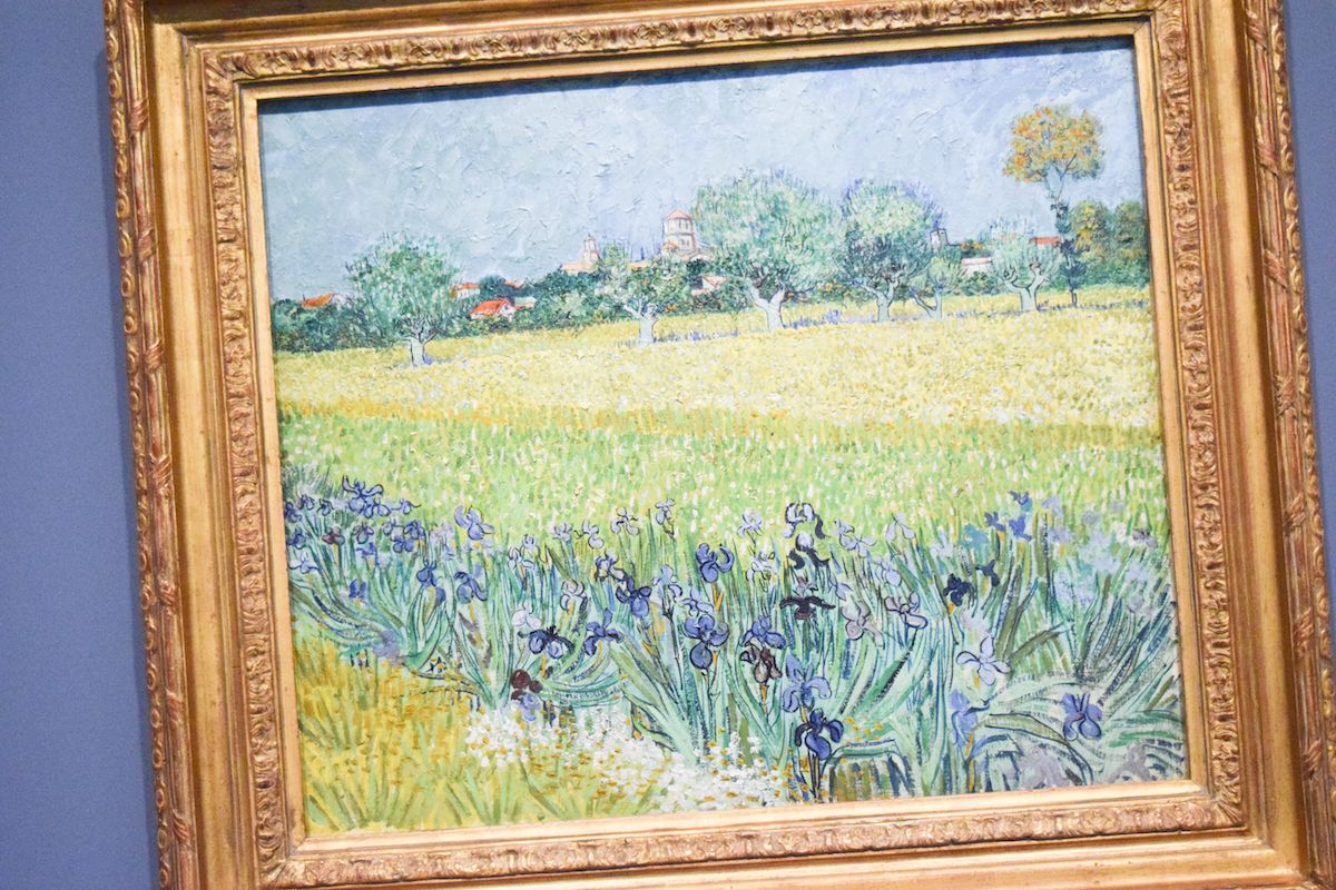Fondation Vincent Van Gogh Arles - Field with Irises near Arles