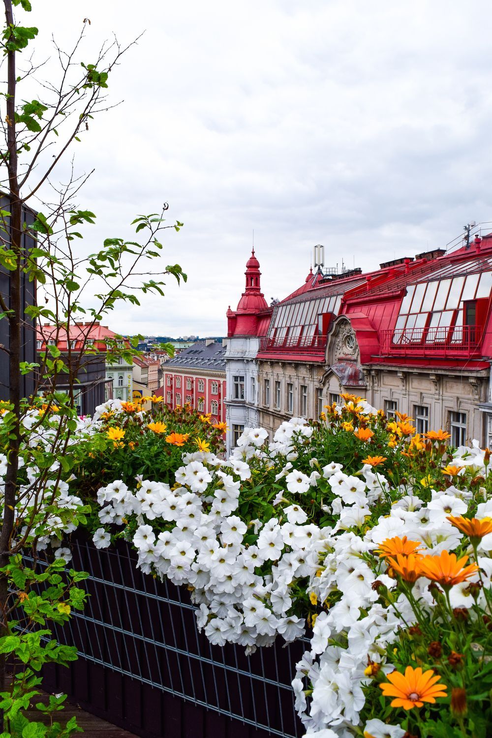 Best View in Prague, Views from T-Anker, Prague