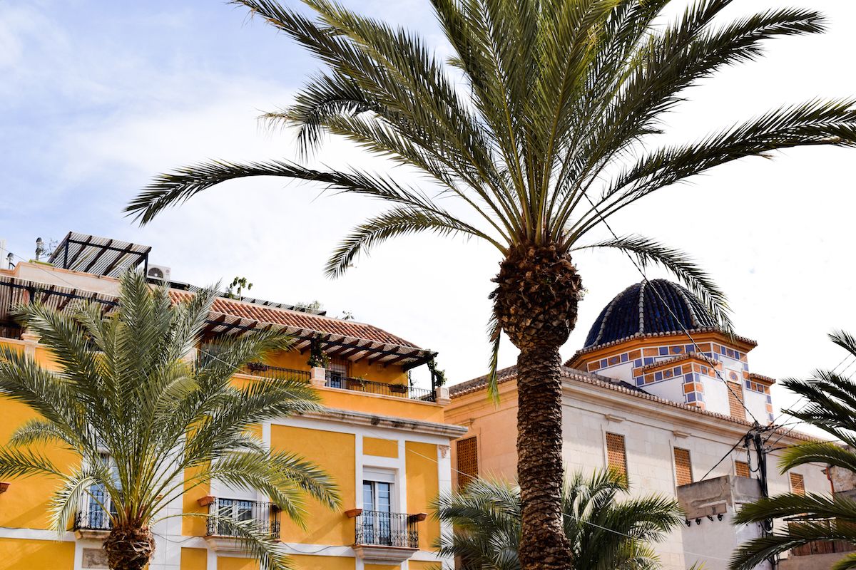 Alicante Spain architecture palm trees