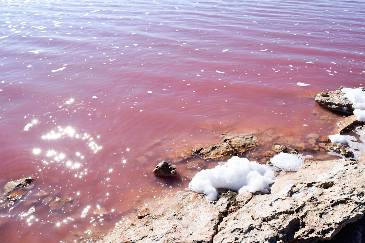 Pink Salt Flat of Torrevieja