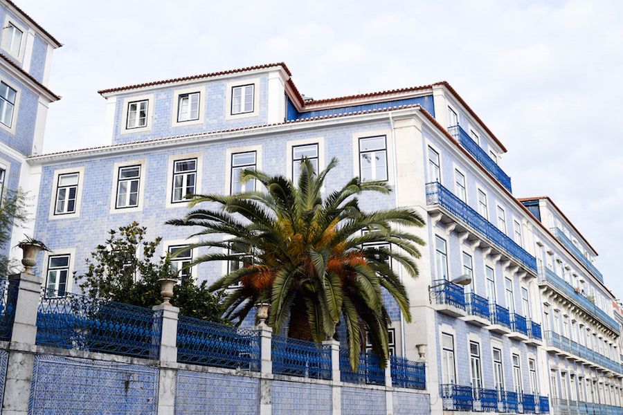 Palm Trees East of Lisbon, Portugal