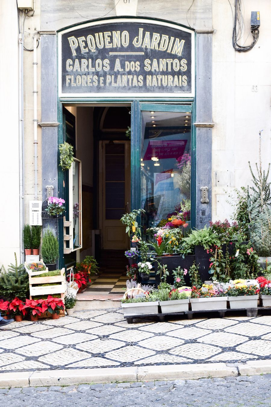 Flower shop Lisbon city center