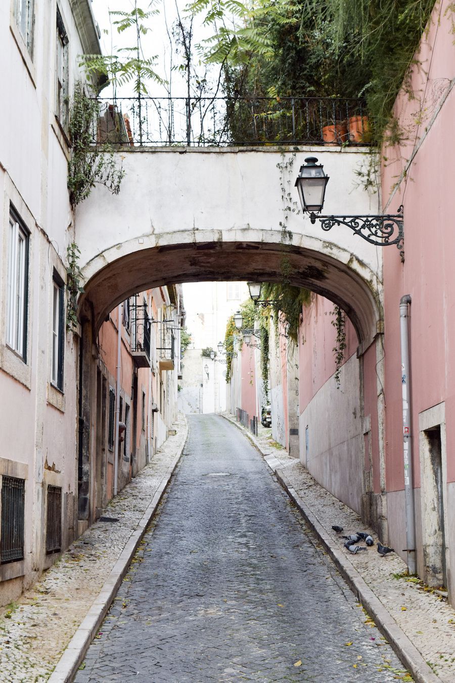 Barrio Alto, Lisbon Portugal