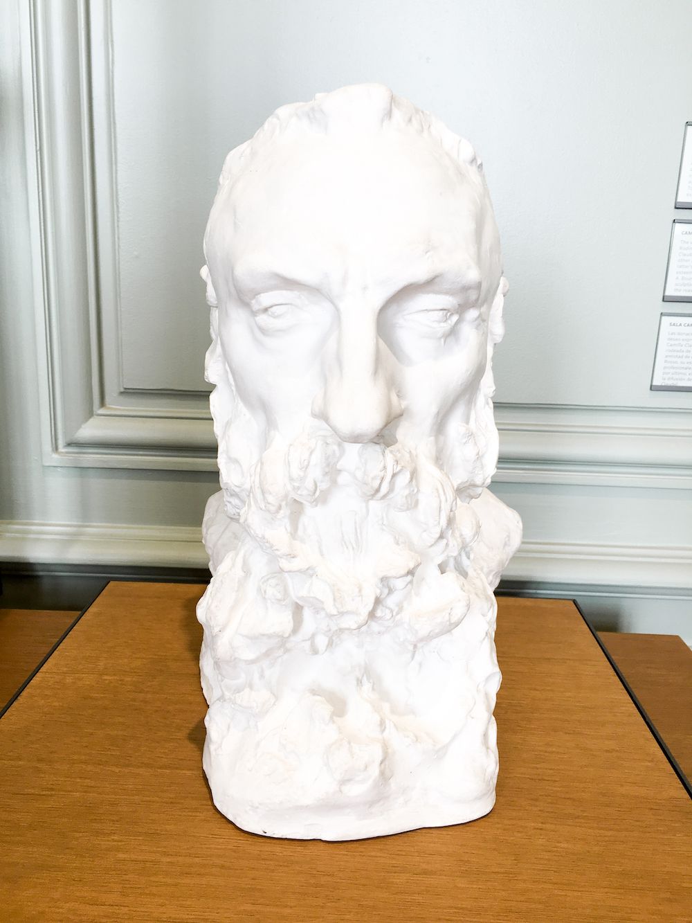 Bearded man sculpture at Musée Rodin