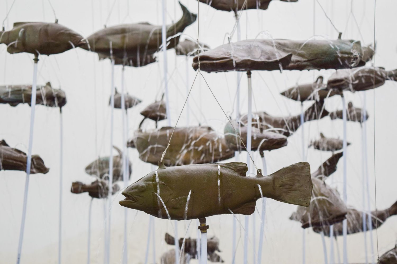 Bruce Nauman, Bruce Nauman, One Hundred Fish Fountain, 2005, Fondation Carmignac, France