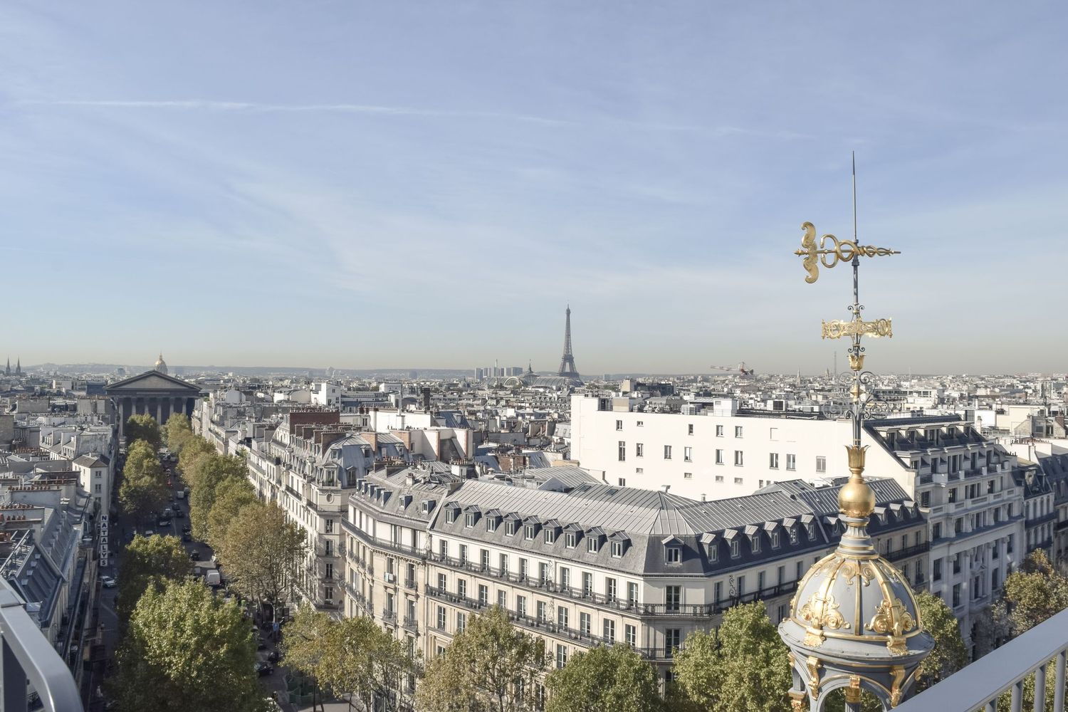 Le Printemps Department Store Rooftop View in Paris