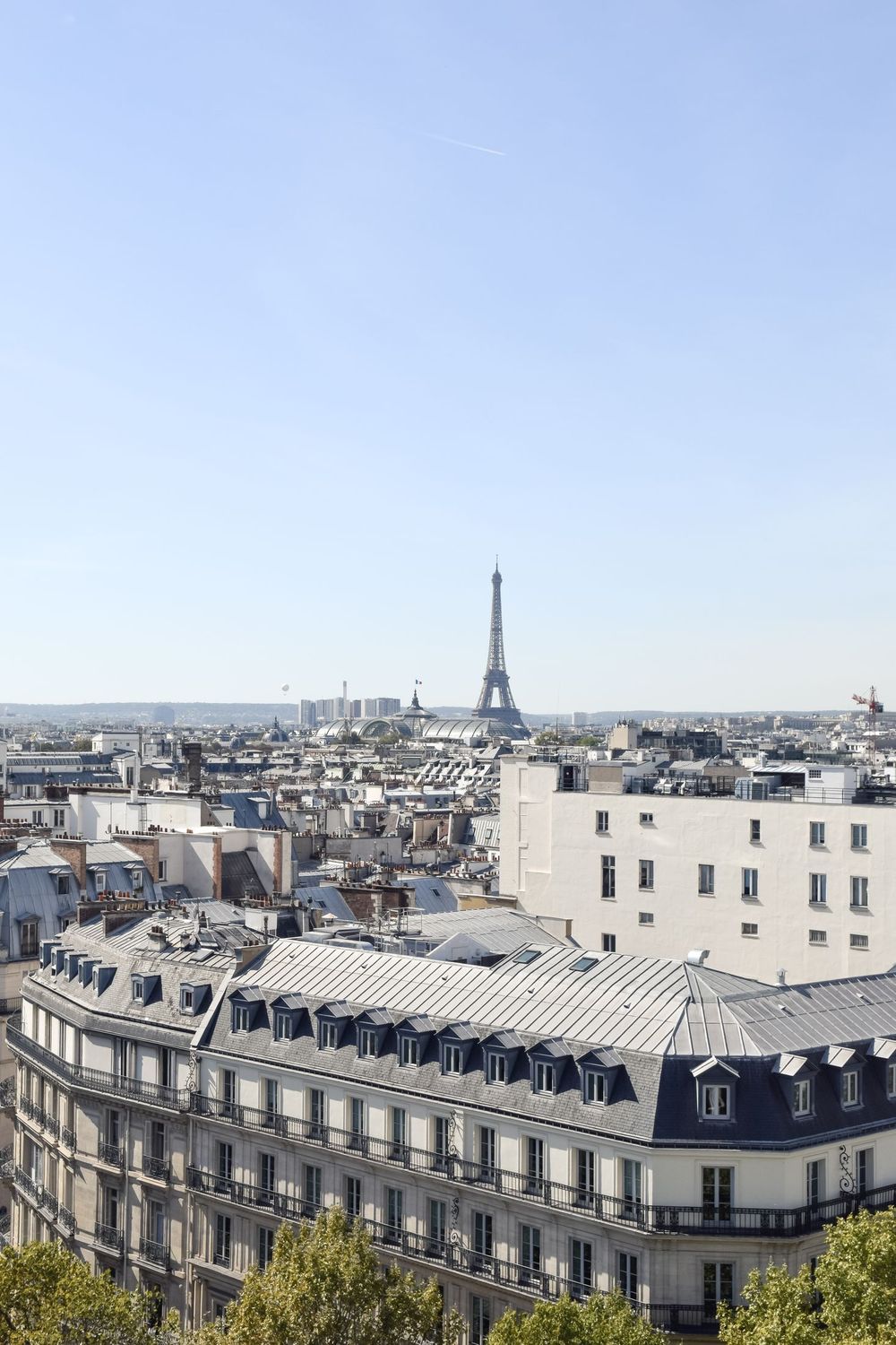 Perruche Views Of Eiffel Tower