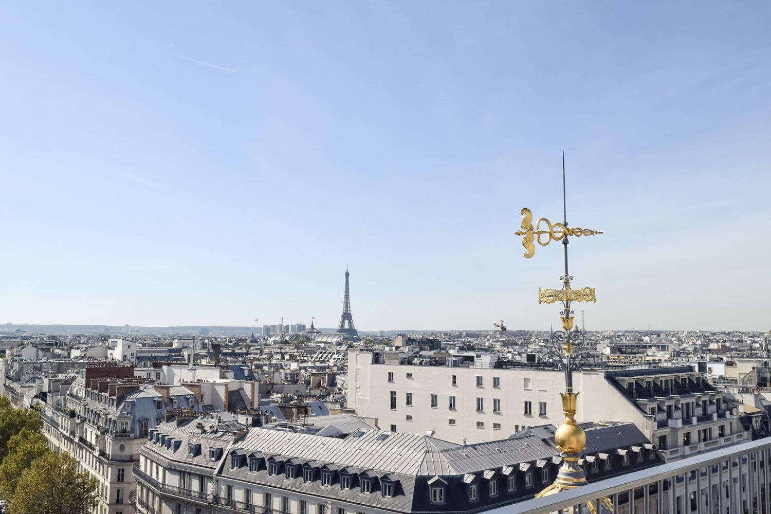 Perruche Restaurant Views, Paris