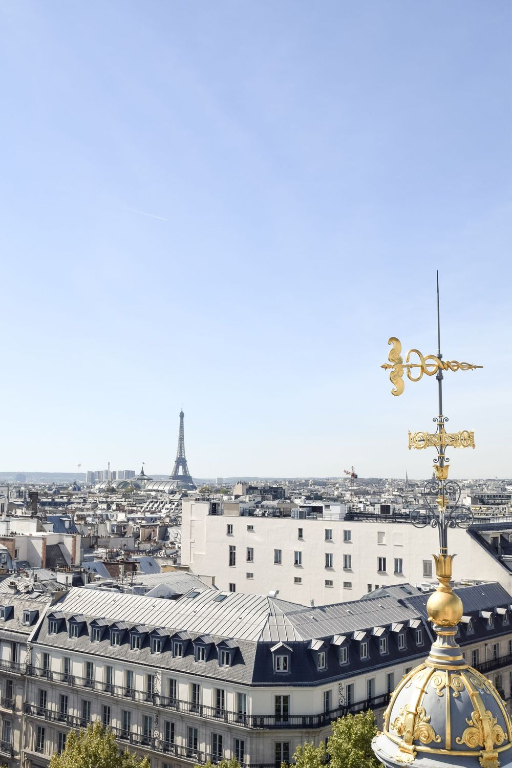 Perruche Restaurant Views, Paris