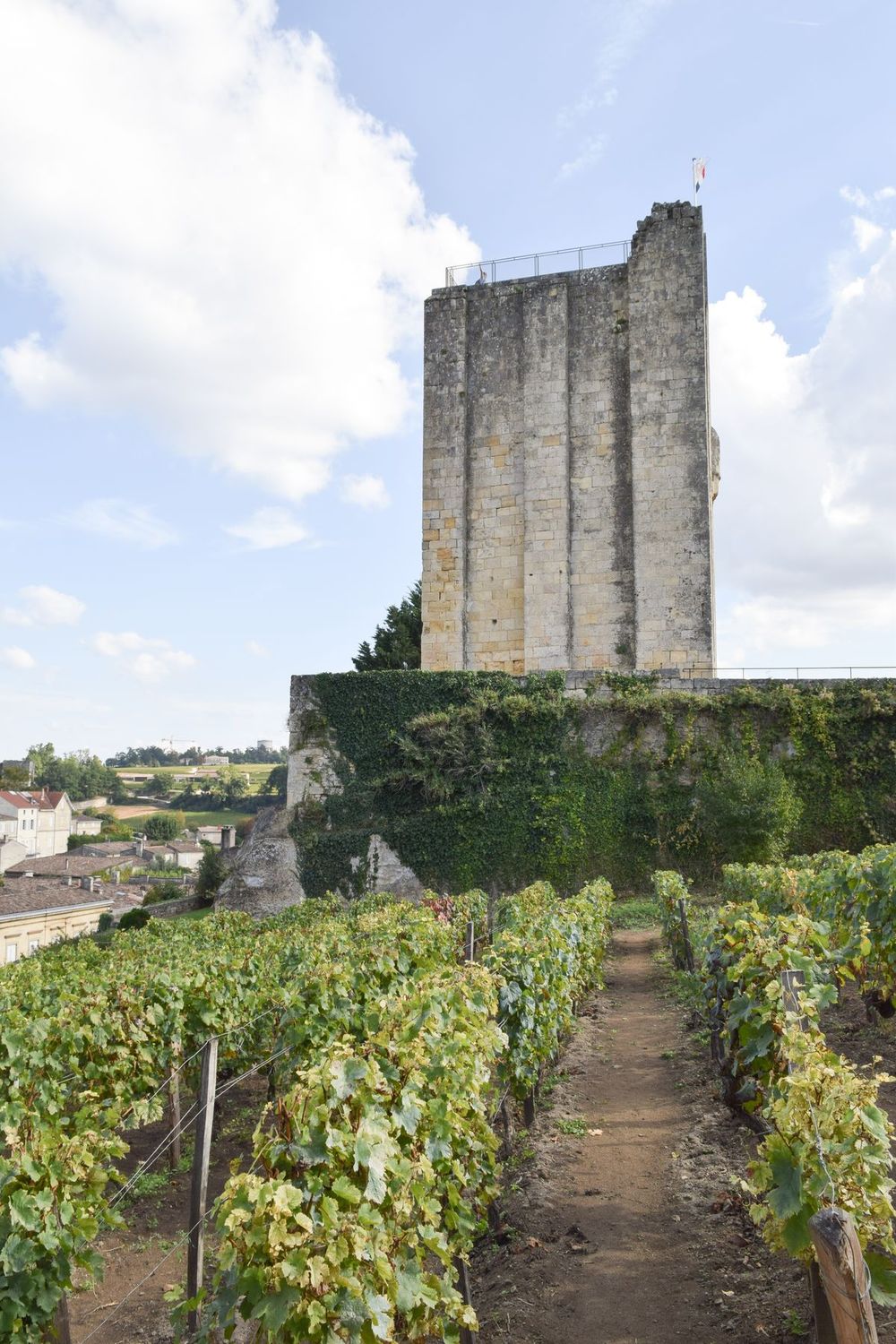 Chateau Du Roy, Saint-Émilion, France