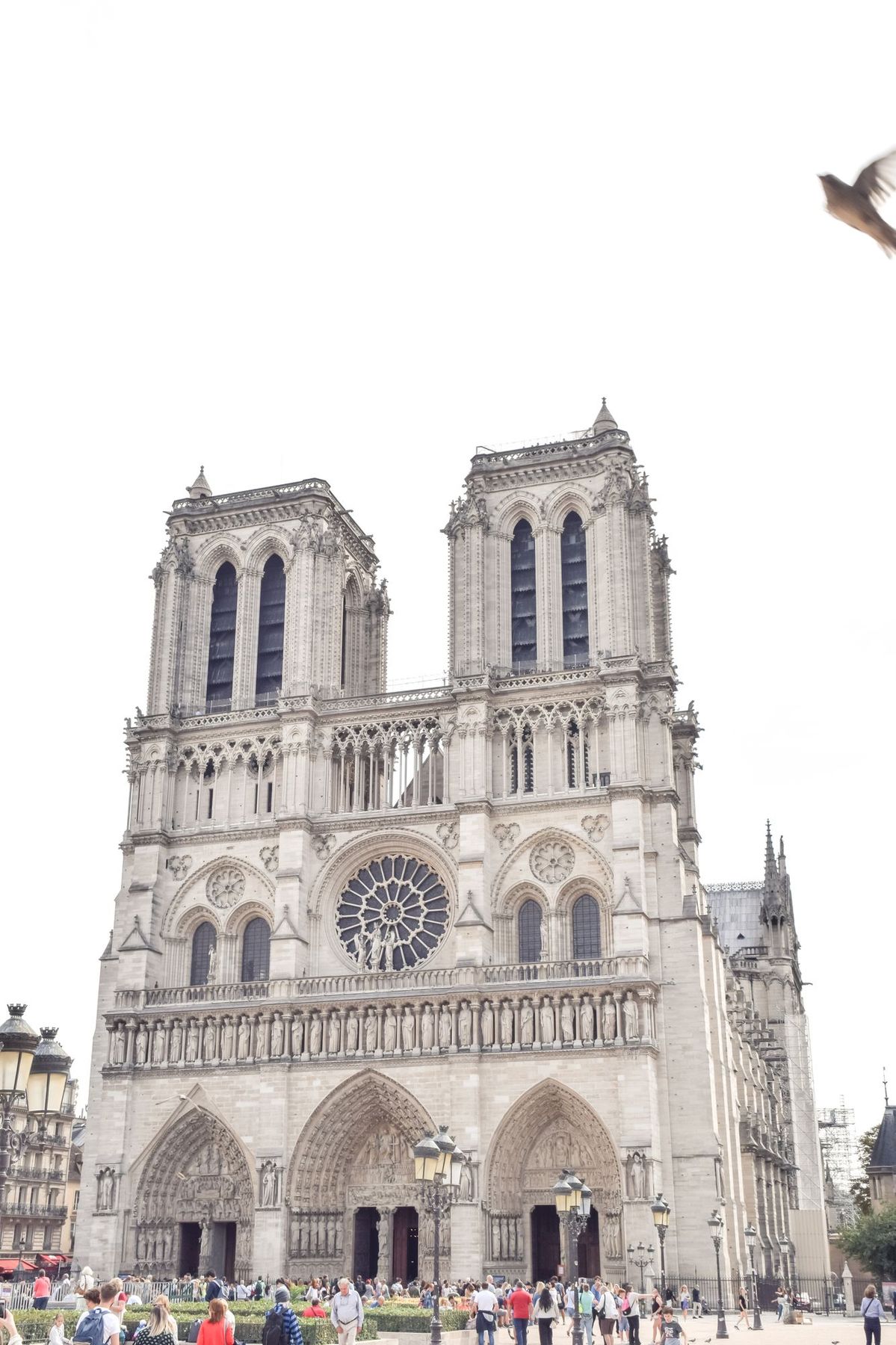Notre Dame, Île de la Cité