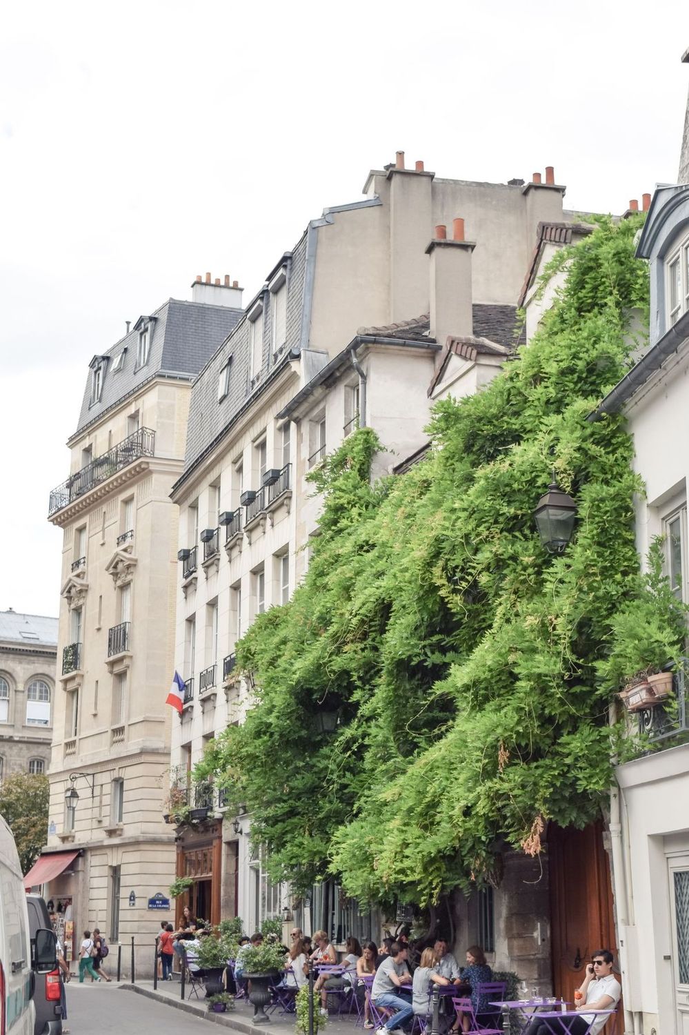 Vines covering Au Vieux Paris d'Arcole, Île de la Cité