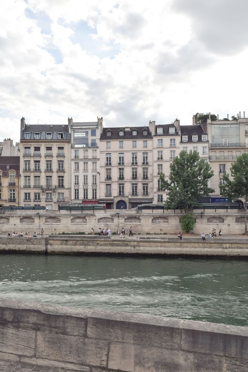 Île de la Cité view of the Seine River