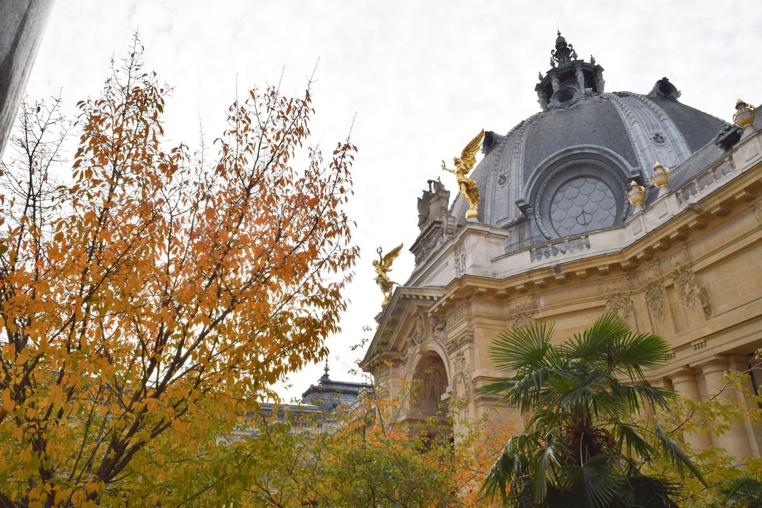 Petit Palais Courtyard, Paris