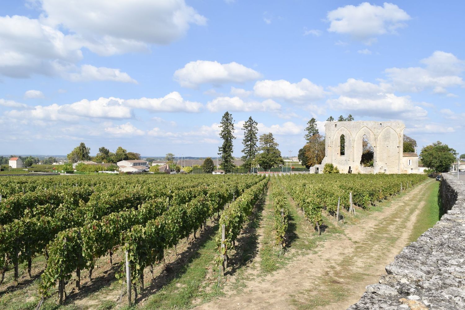 Vineyards Saint-Émilion