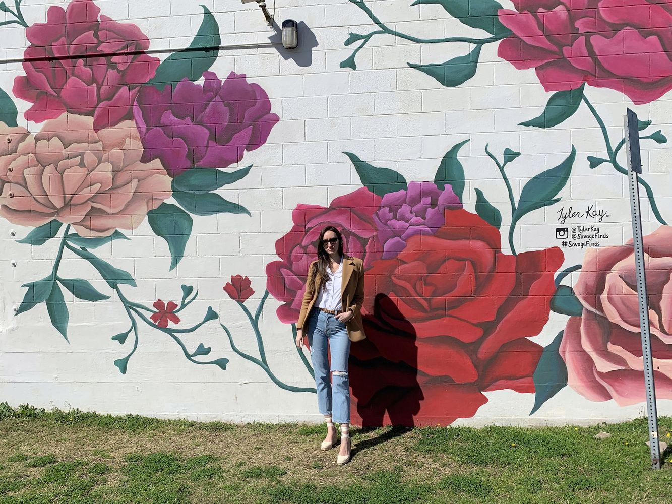 Savage Finds Rose Wall Mural in Waco, Texas - Waco City Guide