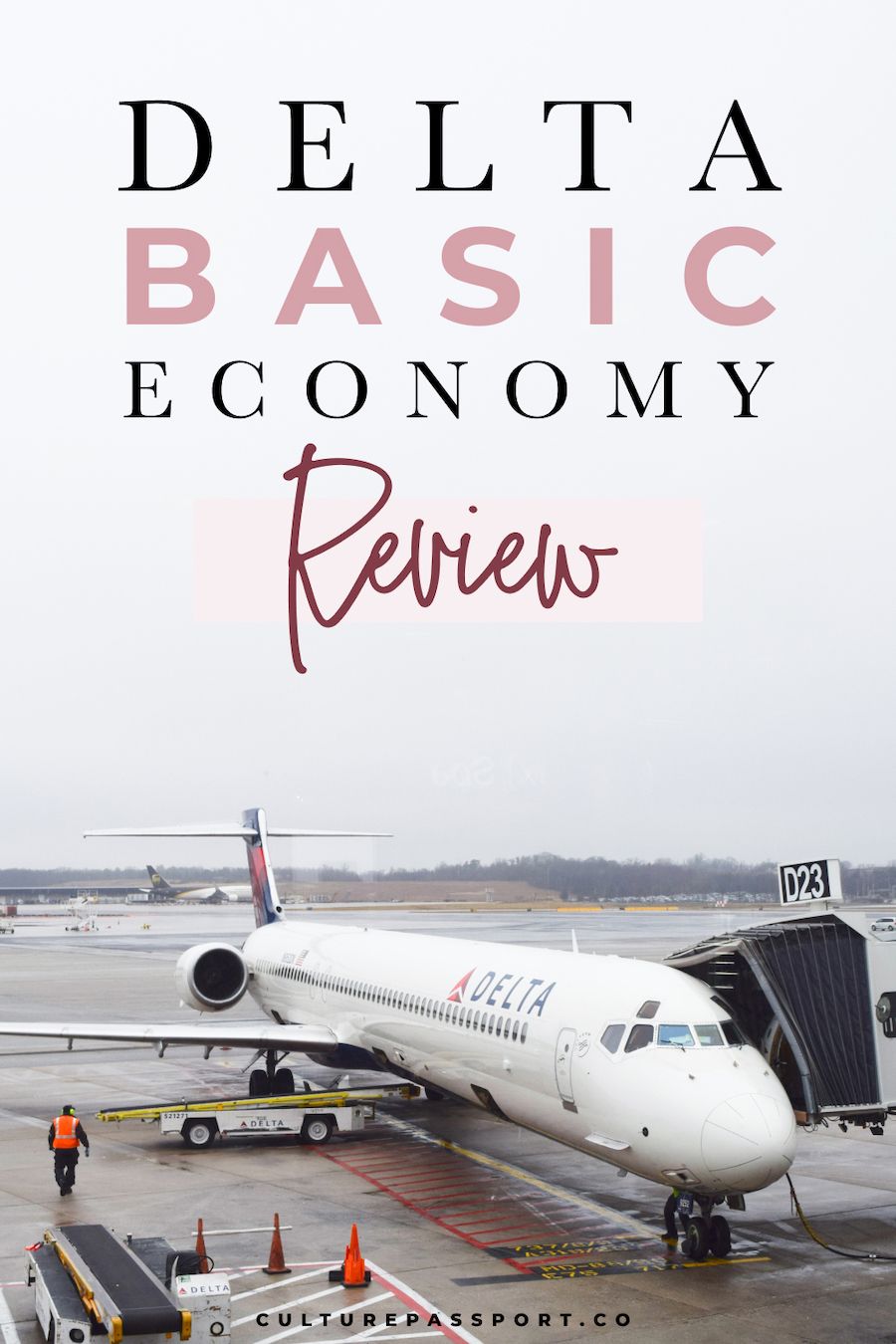 Delta basic economy baggage price on sale