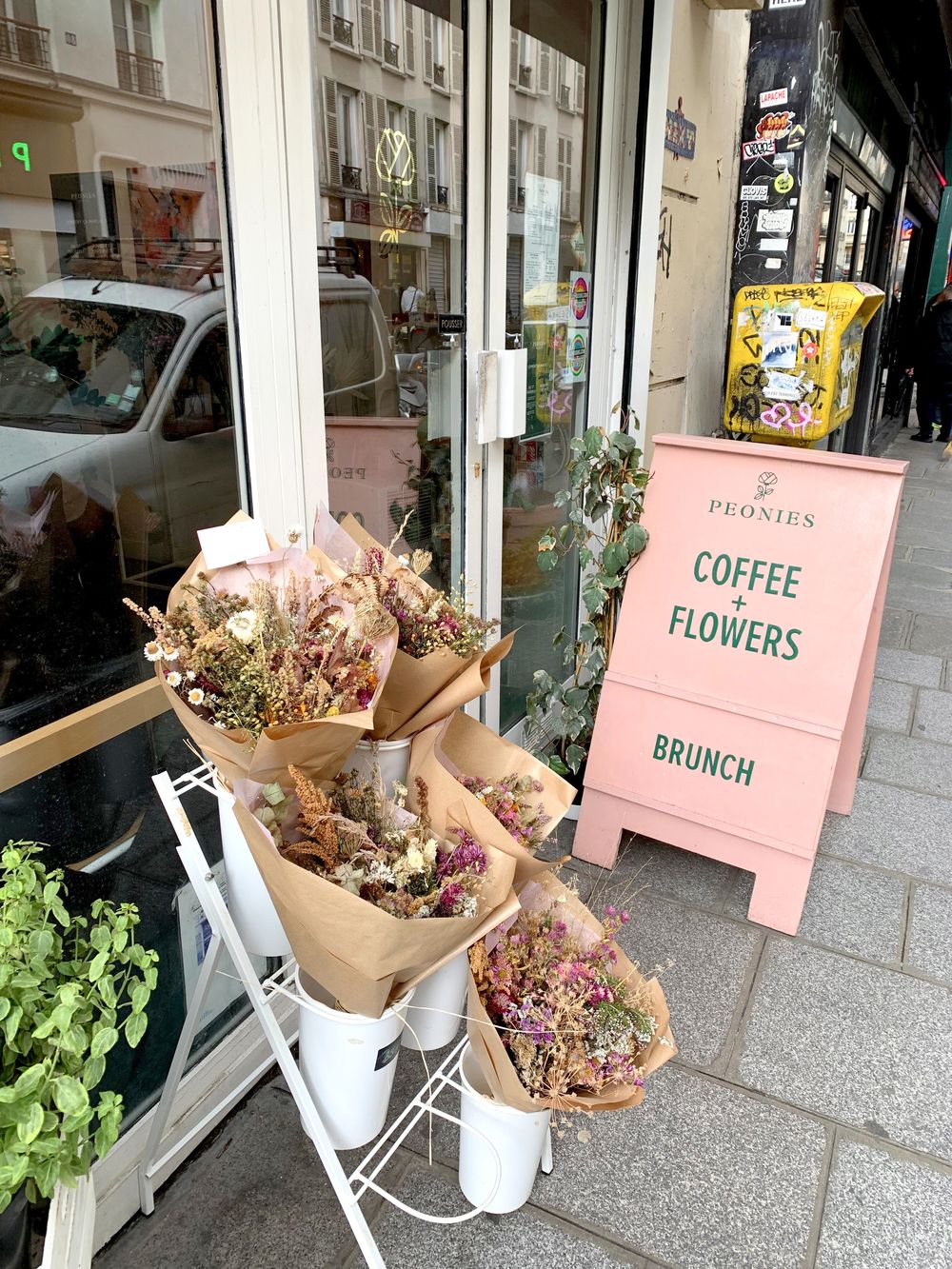 Peonies Paris - Dried Flowers In Paris