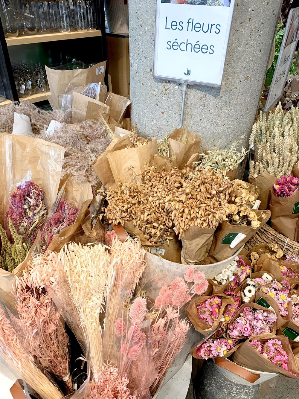 Jardinerie Truffaut - Dried Flowers In Paris