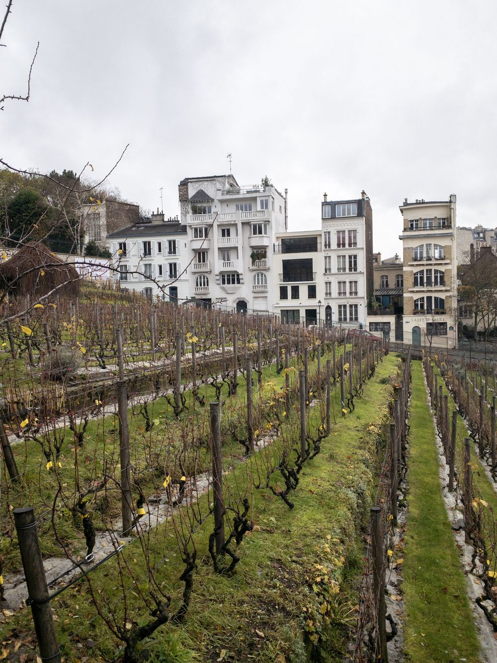 Musee de Montmartre Paris_APC_1027