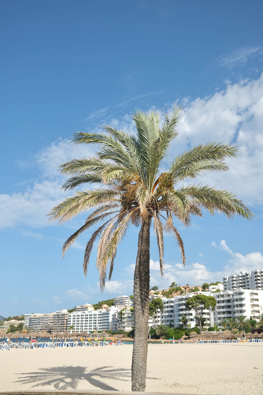 Santa Ponta Beach Mallorca, Spain