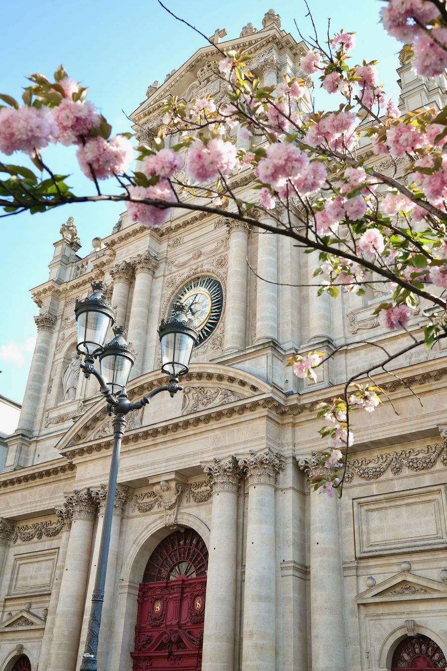 Cherry Blossoms Saint Paul Saint Louis Church Paris_DSCF1007