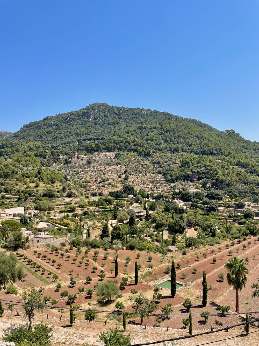 Mirador Things to Do in Valldemossa