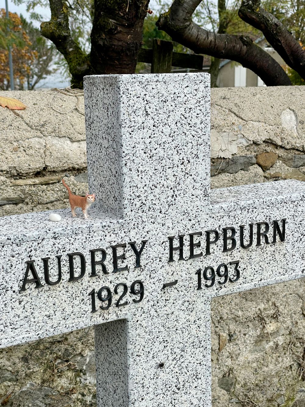 Audrey Hepburn Grave Tolochenaz Switzerland IMG_7885