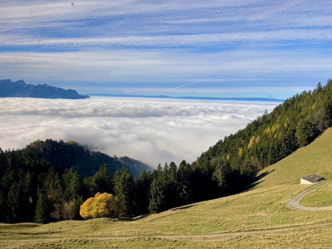 Rochers de Naye Switzerland IMG_7976