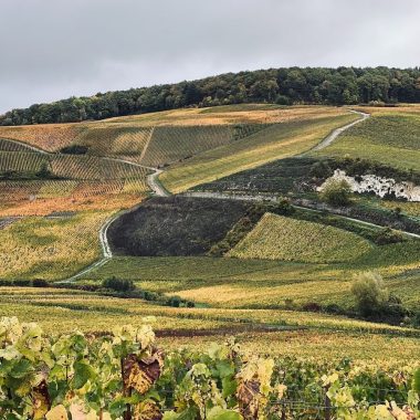 Small Towns to Visit in Champagne France ay-champagne