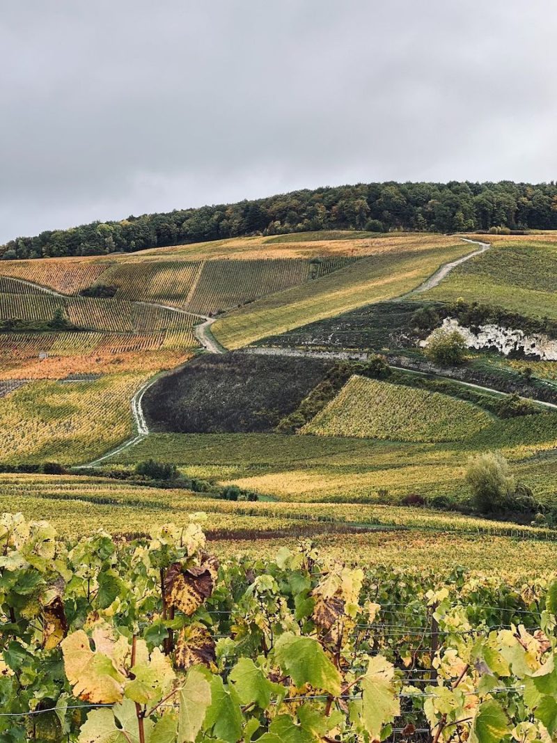8 Charming Small Towns to Visit in Champagne, France