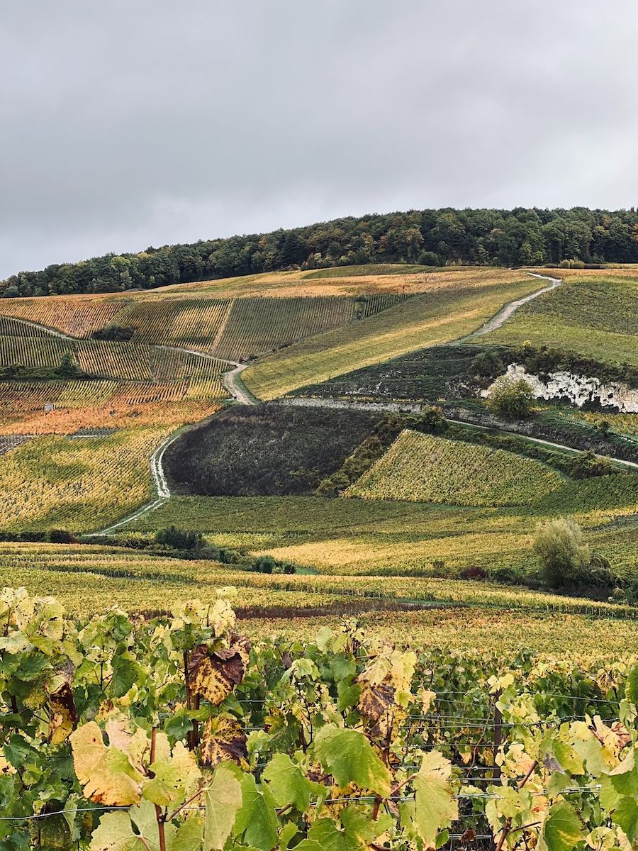 Small Towns to Visit in Champagne France ay-champagne